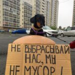 Волонтерские проекты в Екатеринбурге
